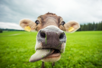 Neuer Versicherungspartner der Landwirtschaft