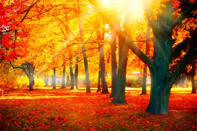 Der Herbst und seine Tücken